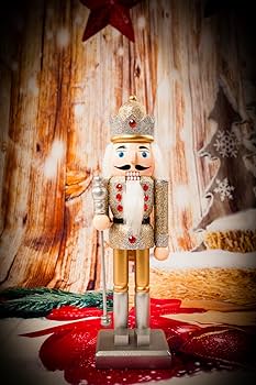 71Y89wp+x2L._AC_UF350,